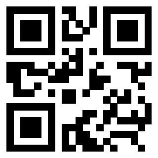 3309051313 QrCode associato