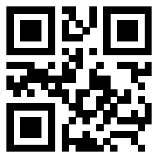 3309051369 - Immagine del QrCode