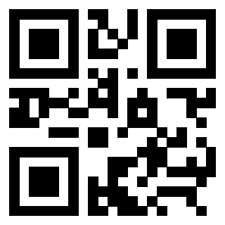 3309051535 - Immagine del QrCode