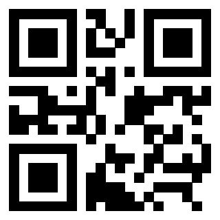 3309051813 - Immagine del QrCode