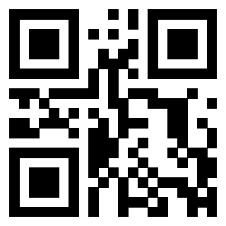 QrCode di 3309065894