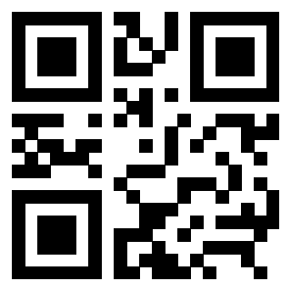 3309066028 - Immagine del QrCode associato