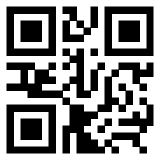 Il Qr Code di 3309066074