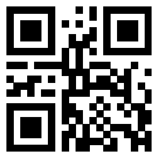 3309066100 - Immagine del Qr Code associato