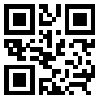 3309066133 - Immagine del QrCode associato