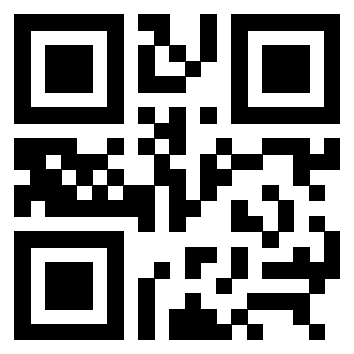 3309066213 Qr Code associato
