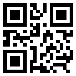 3309066529 - Immagine del QrCode