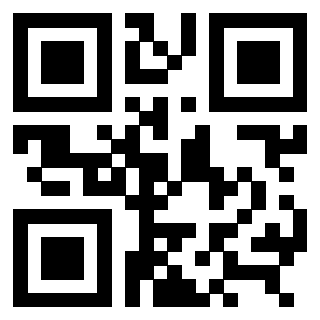 3309100493 QrCode associato