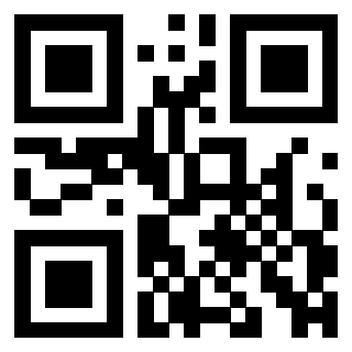 3309100533 - Immagine del Qr Code