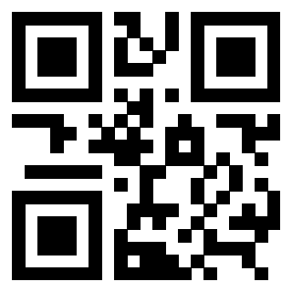 3309100536 Qr Code associato