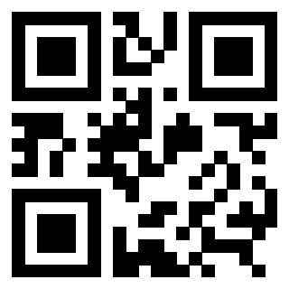 3309100593 - Immagine del QrCode