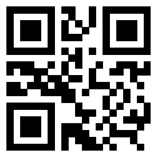 3309100666 - Immagine del QrCode