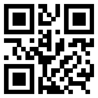 3309100709 QrCode associato