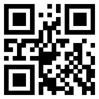 3309100919 - Immagine del Qr Code associato