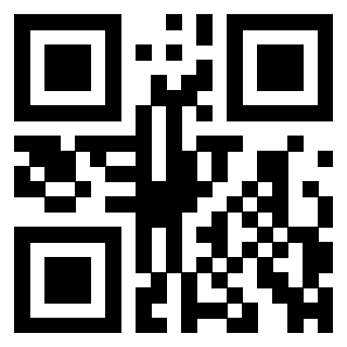 3309100956 QrCode associato