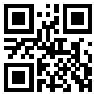 3309100981 QrCode associato