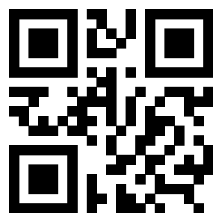 3309101079 - Immagine del QrCode