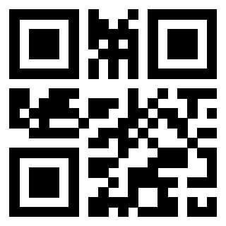 3309101109 - Immagine del QrCode