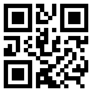 3309101138 QrCode associato