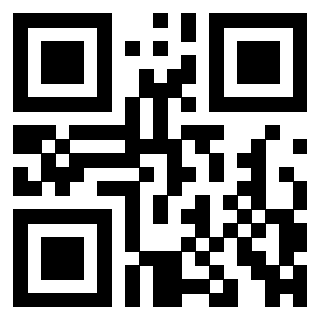 3309101306 - Immagine del QrCode associato