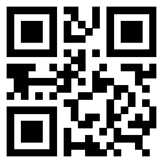 3309101317 - Immagine del QrCode