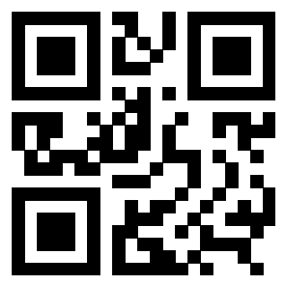 3309104900 Qr Code associato