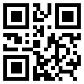 3309105125 - Immagine del QrCode