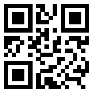 3309105138 - Immagine del QrCode associato