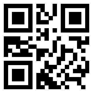 QrCode di 3309105308