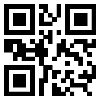 3309136113 QrCode associato