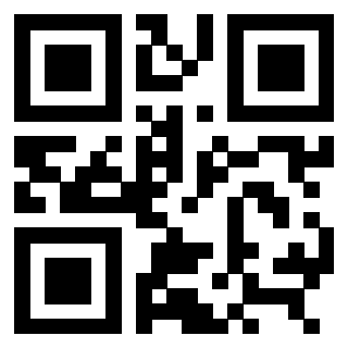 QrCode di 3309136217