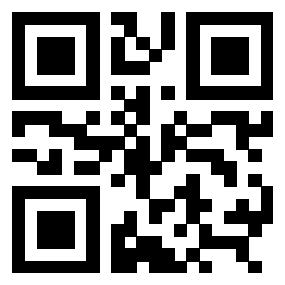 3309136245 - Immagine del QrCode