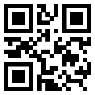3309170096 - Immagine del Qr Code associato