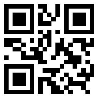 3309170110 - Immagine del QrCode associato