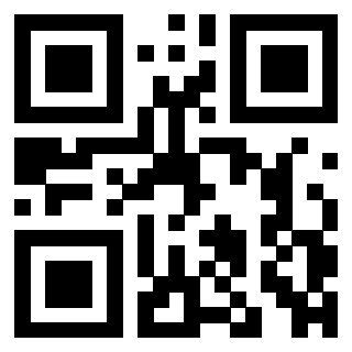 3309170293 - Immagine del QrCode