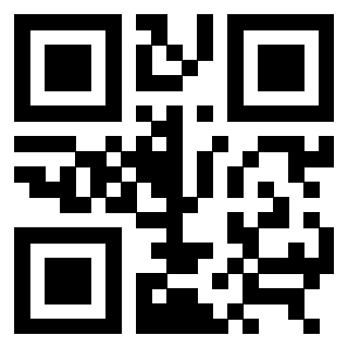 3309253066 QrCode associato