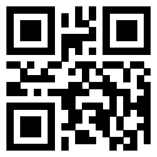 QrCode di 3309253313