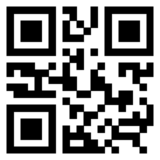 QrCode di 3309273980