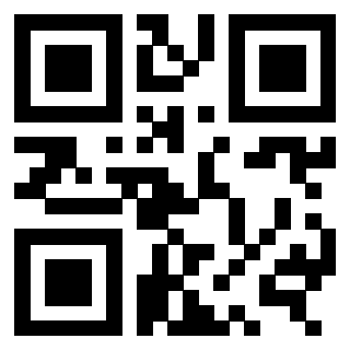 3309306636 QrCode associato