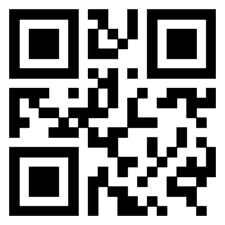 3309306666 - Immagine del QrCode