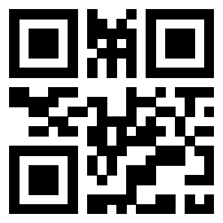 3309307041 - Immagine del QrCode