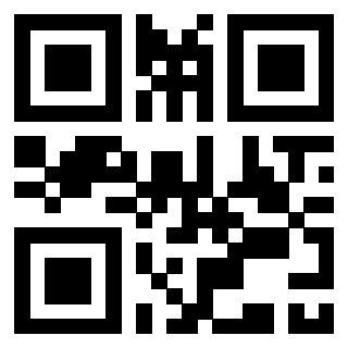 QrCode di 3309308543