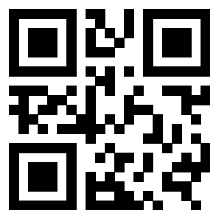 3309365333 - Immagine del Qr Code associato