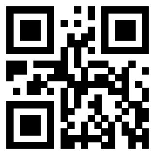 3309366106 - Immagine del QrCode