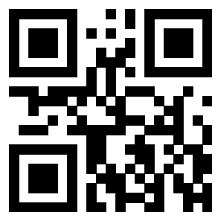 QrCode di 3309366133