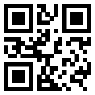 3309366136 - Immagine del QrCode associato
