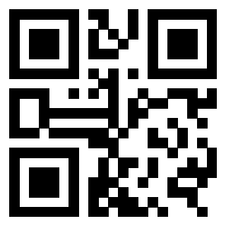 QrCode di 3309366213