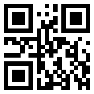 QrCode di 3309366216
