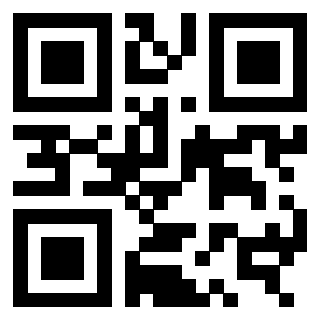 QrCode di 3309432873