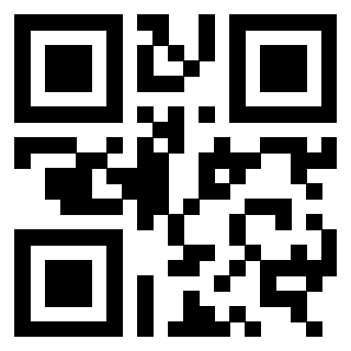 QrCode di 3309433266